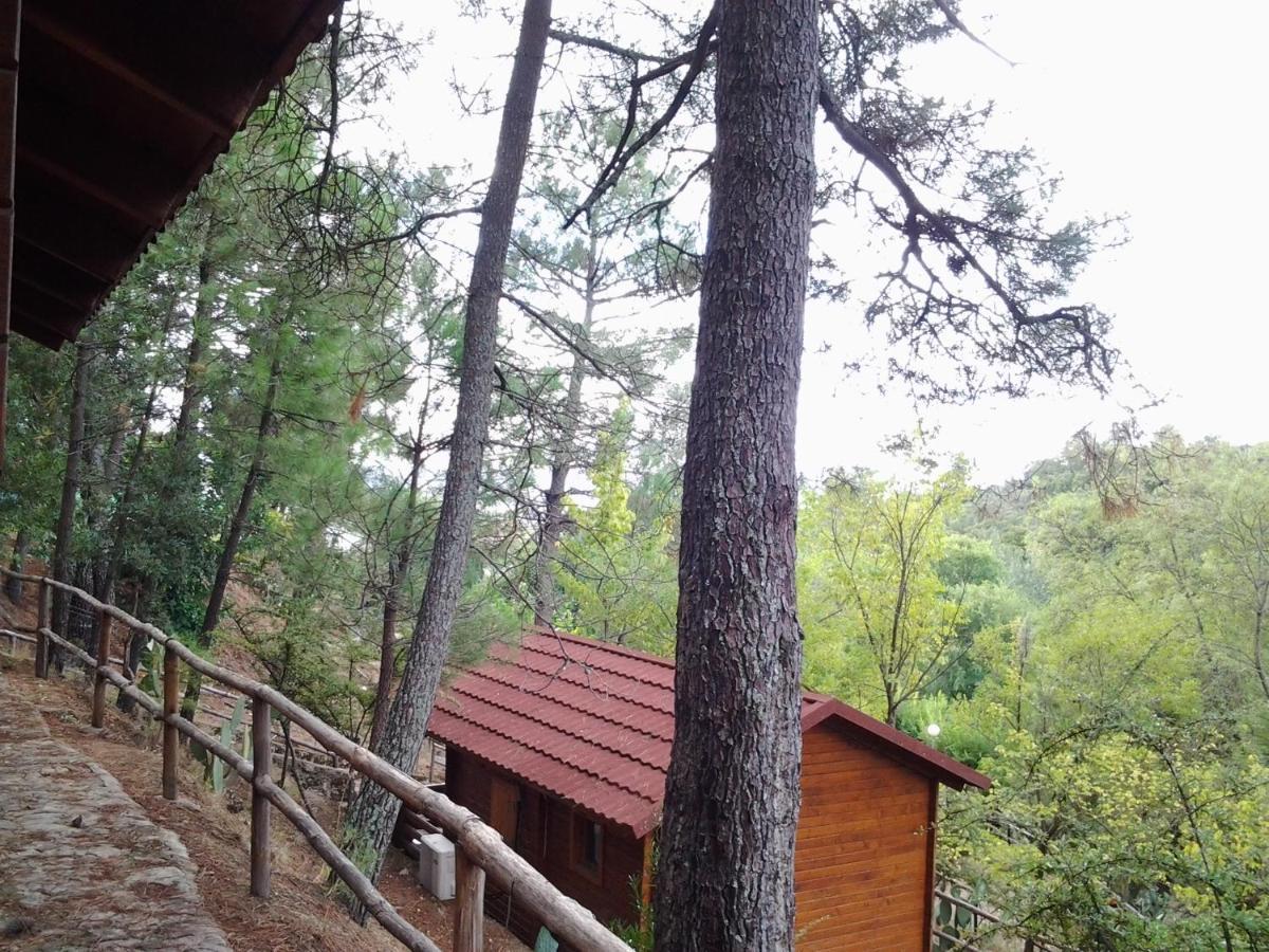 Camping La Eliza Hotel Lanzahita Eksteriør billede