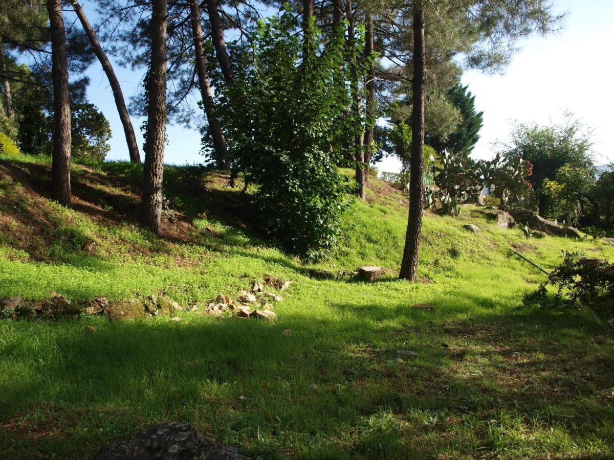 Camping La Eliza Hotel Lanzahita Eksteriør billede